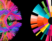 Neurodiversidade: interactive digital infographic