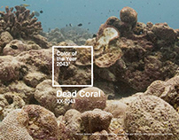 Dead Coral Color of The Year 2043