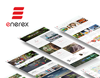 Enerex – Web Experience