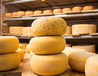 Brown's Cheese Shoot