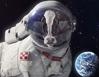 Purina - Cow on the moon Print campaign