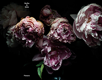 "FLOWERS" | Our Fine Art Project on PARTERRE DE ROIS