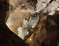Covid Caves