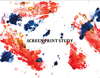 Screen Print Study