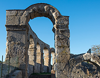 The Roman ruins of Ferento