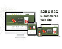 B2B/B2C Ecommerce website