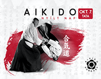 Aikido Open Dojo day