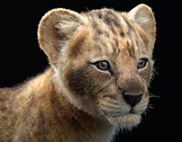 Lion Cub Model