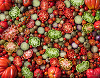 Tomates de Oaxaca