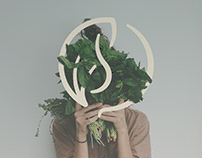 Cássia Nutricionista | Visual Identity