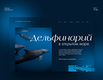Редизайн сайта дельфинария