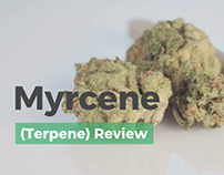 Reviewing Myrcene (Terpenes)