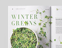 Winter Greens Magazine Spread