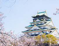 Osaka Castle Cherry blossoms