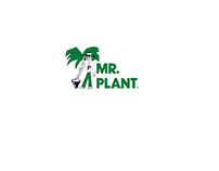 Indoor Plant Care Service Maintenance Services