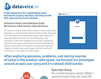 Datavoice Software Development Example