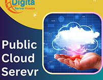 Public cloud server