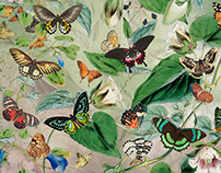 Wallpaper "Butterflies in garden" Size 405*270cm,150dpi
