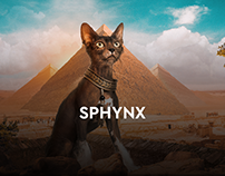 Meow "Sphynx"