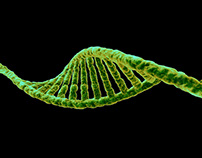 Photorealistic DNA for genetic research center