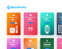 Beta Profiles Web Design