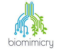 Biomimicry - Motion Design Piece