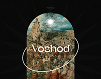 Voshod art. Web design