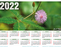 Calendaris 2022