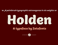 Holden paintbrush type family with FREE WEIGHTS