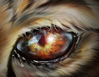 Eye of Tiger