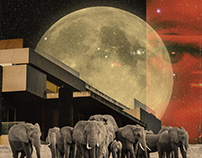 Digital collage art - Elephant herd