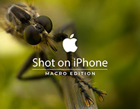 Shot on iPhone – Macro Edition