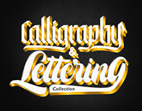 Calligraphy & Lettering collection 2019