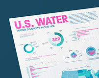 Water Scarcity Data Visualization Posters