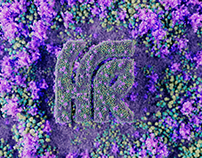 3D Logo - HR