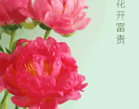 Chinese New Year Greeting — Cinemagraph