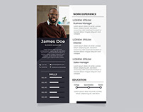 Free Asset Manager Resume Template