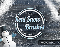 Real Snow Brushes