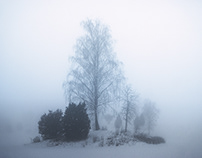 Foggy winter dreams