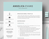 Professional resume template for word and Iwork Pages