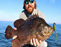 Best Tripletail Fishing Lures and Baits
