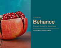 Pomegranate Photo Bundle