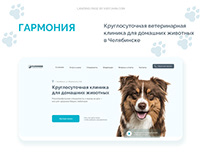 Сайт для ветеринарной клиники в Челябинске