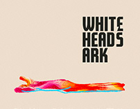 Whitehead's Ark Identity and Visual Experiments