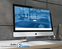 Kaldo web design