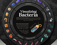 Visualizing Bacteria