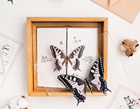 Butterflies wedding invitation