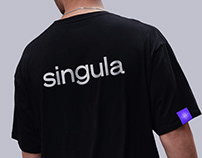 Singula Team Identity & Web Design