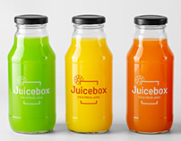 Logo Design | Juicebox