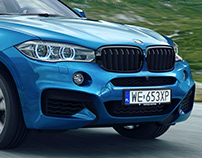 BMW X6 CGI